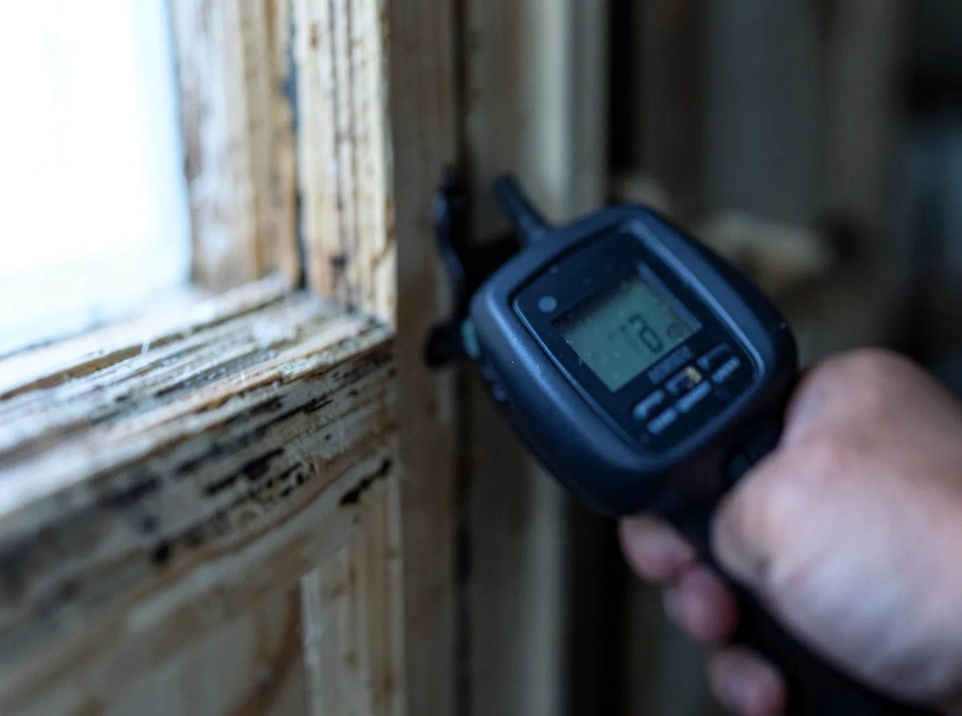 Ceiling Water Damage Repair in Rippey, IA